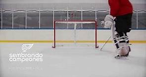 Reglas básicas | Hockey Sobre Hielo