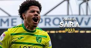 Gabriel Sara 2023 - Magic Skills, Assists & Goals - Norwich City | HD