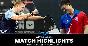 Yang Wang vs Mattias Falck | MS R16 | WTT Contender Doha 2024