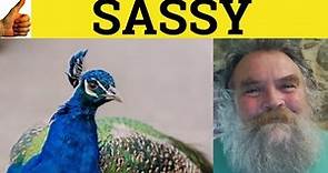 🔵Sassy - Sassy Meaning - Sassy Examples - Sassy Defined - Informal English