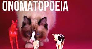 What is onomatopoeia? - BBC Bitesize