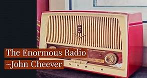 The Enormous Radio by John Cheever: Summary