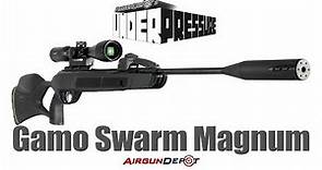 Gamo Swarm Magnum: a Ten-Shot Repeating Monster of an Airgun!