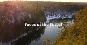 Watch Faces of the Forest: Meet the Town of Falmouth, Maine