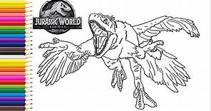 How to draw Pyroraptor from Jurassic World Dominion | Coloring pages with dinosaurs