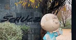 A Charlie Brown Museum in the Bay Area?! 📍Charles M. Schulz Museum and Research Center, Santa Rosa, CA . If you’re a huge Peanuts fan, add this to your Bay Area Bucket List!!! Learn all about Charles Schulz’s life, the story of how the Peanuts came to be, the history behind each Peanuts character, and how the Peanuts have influenced the world and taken it by storm! . 📍Location: Charles M. Schulz Museum and Research Center, 2301 Hardies Ln, Santa Rosa, CA 95403 ⏰ Hours: Open everyday but Tuesda