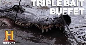 Swamp People: 6 Types of Gator Bait Lure in MASSIVE Gators | History