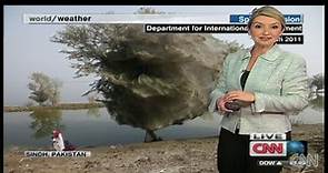 Spider invasion in Australia amid floods