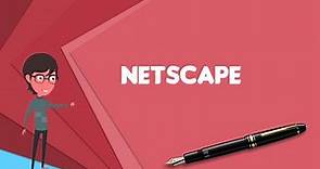 What is Netscape? Explain Netscape, Define Netscape, Meaning of Netscape