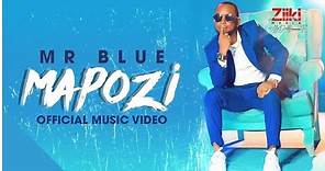 MAPOZI | MR BLUE | Official Video