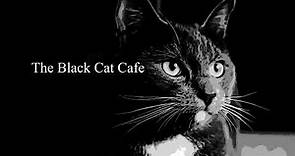The Black Cat Cafe trailer