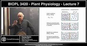 BIOPL3420 - Plant Physiology - Lecture 7