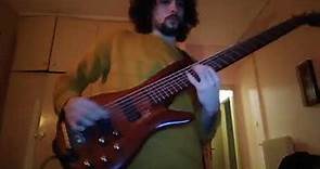 Henry Cow - Bittern Storm Over Ulm (bass cover)