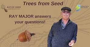 Ray Major Live! Trees from Seed