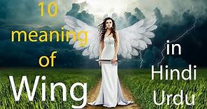Wing meaning 10 meaning of wing as noun verb with example sentences and translation in Hindi Urdu