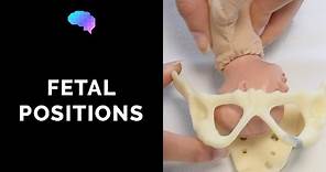 Types of Fetal Positions - OSCE Guide | UKMLA | CPSA