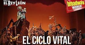EL REY LEÓN - "El Ciclo Vital" (Madrid, 2019)