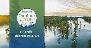 Delaware’s State Parks: Trap Pond State Park