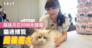 【寵物商機】為愛貓願月花5000元　香港貓迷每年市場規模達18億元 - 香港經濟日報 - 即時新聞頻道 - 商業