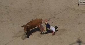 Cogida Toros Encierros, YoTaurino World Tour, Toros en la calle.