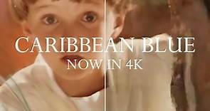 Caribbean Blue - 4k Music Video