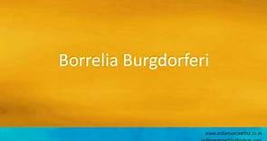 Pronunciation of the word(s) "Borrelia Burgdorferi".