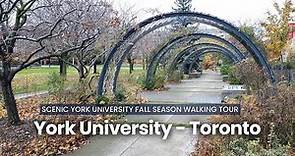 York University Toronto Complete Walking Tour 4K #1: With Picturesque Fall Season Scenery