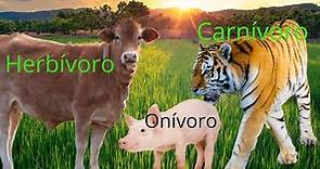 Animais herbívoros, carnivoros e onívoros.