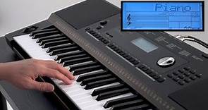 “Play Keyboard (PIANO VOICE)” Roland E-X20 #02