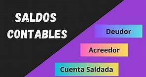 3 tipos de SALDOS CONTABLES que debes conocer (CONTABILIDAD BASICA para Principiantes) | Chile 2023