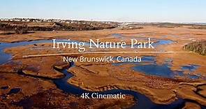 Irving Nature Park, New Brunswick, Canada | DJI Mini 2 | 4K Cinematic