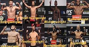 Ufc weight classes 2021, and ufc weight champions 2021