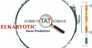 Bioinformatics | Eukaryotic Gene Prediction | FGenesH | Bioinformatic Tutorials