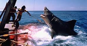Is ‘Jaws’ Based On A True Story?