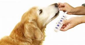 Doxycycline Dosage Chart for Dogs: Risks, Side Effects, Dosage, and More