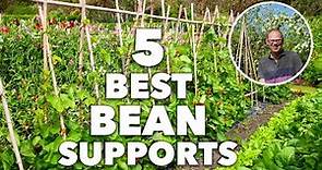 5 Best Bean Poles, Frames and Supports for Your Garden