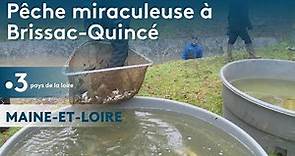 Maine-et-Loire : pêche miraculeuse à Brissac-Quincé lors de la vidange d'un étang