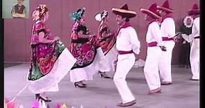 La zandunga (con pasos básicos) Baile folcklorico de Oaxaca, México.