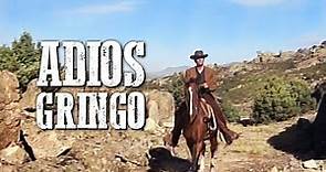 Adios Gringo | Full Western Movie | Spaghetti Western | Cowboy Film | Free Movie on YouTube