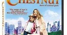 Chestnut: El héroe de Central Park (2004) Online - Película Completa en Español - FULLTV