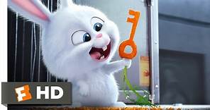 The Secret Life of Pets - Busting You Out! Scene (3/10) | Movieclips