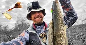 The BEST LURE for Early Season Snakehead; Spring Snakehead Fishing in Maryland