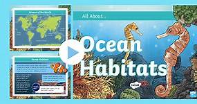PowerPoint KS2 All About Ocean Habitats PowerPoint