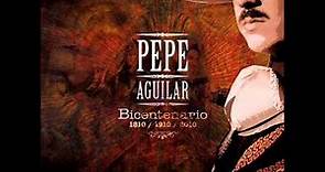 El Muchacho Alegre-Pepe Aguilar-BiCentenario 1810/1910/2010