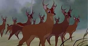 Bambi Conoce A Su Padre || Bambi (1942) de Disney