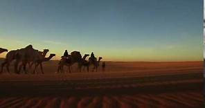 Sahara white desert camel caravan 5