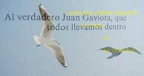 Juan Salvador Gaviota, de Richard Bach (audio libro - completo)