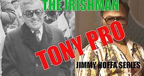 Anthony "Tony Pro" Provenzano / Irishman Hoffa Series / Al Profit