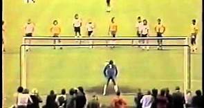 Brasil vs Alemanha 1981 - Waldir Peres