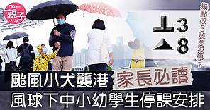 【打風返學】家長必讀風球下中小幼返學指引　解構打風及紅雨黑雨停課安排 - 香港經濟日報 - TOPick - 親子 - 升學教育